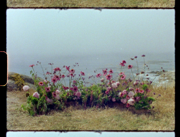 III - Big Sur, CA